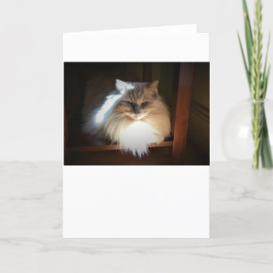 Días lentos, tarjeta