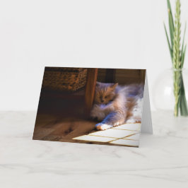 Días lentos, tarjeta