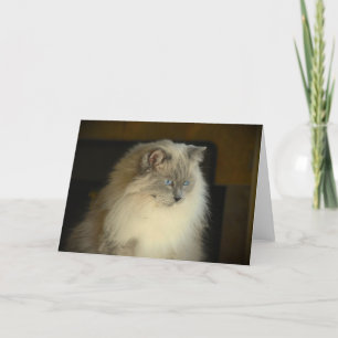 Días lentos, tarjeta