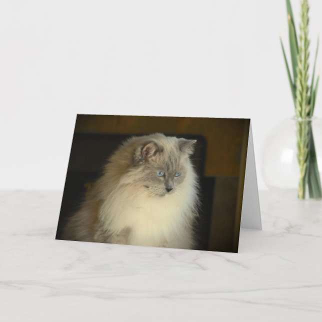 Días lentos, tarjeta (Anverso)