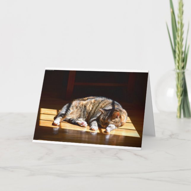 Días lentos, tarjeta (Anverso)