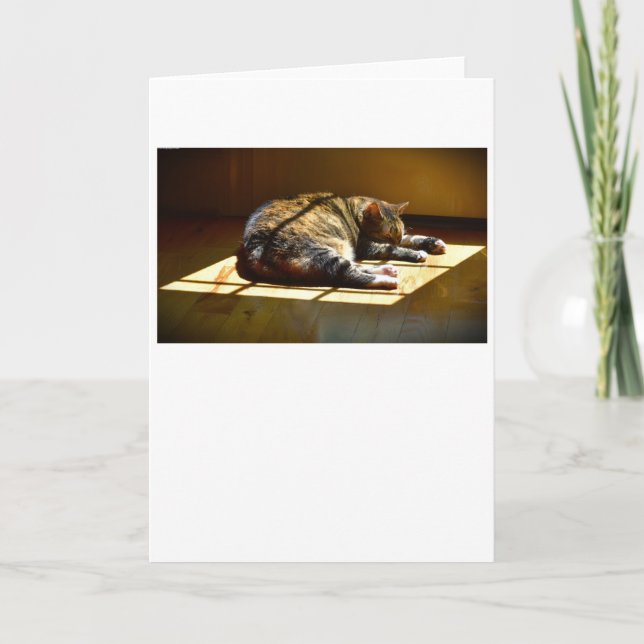 Días lentos, tarjeta (Anverso)