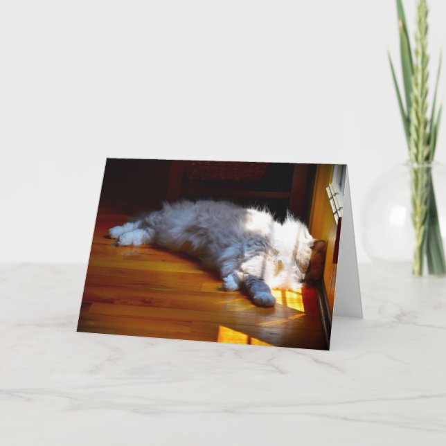 Días lentos, tarjeta (Anverso)