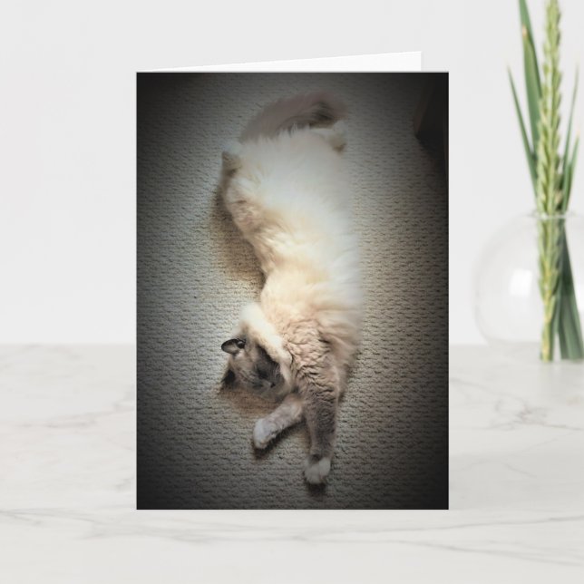 Días lentos, tarjeta (Anverso)