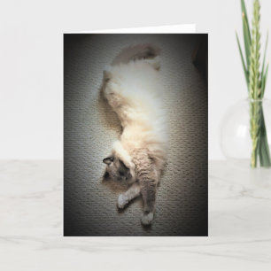 Días lentos, tarjeta