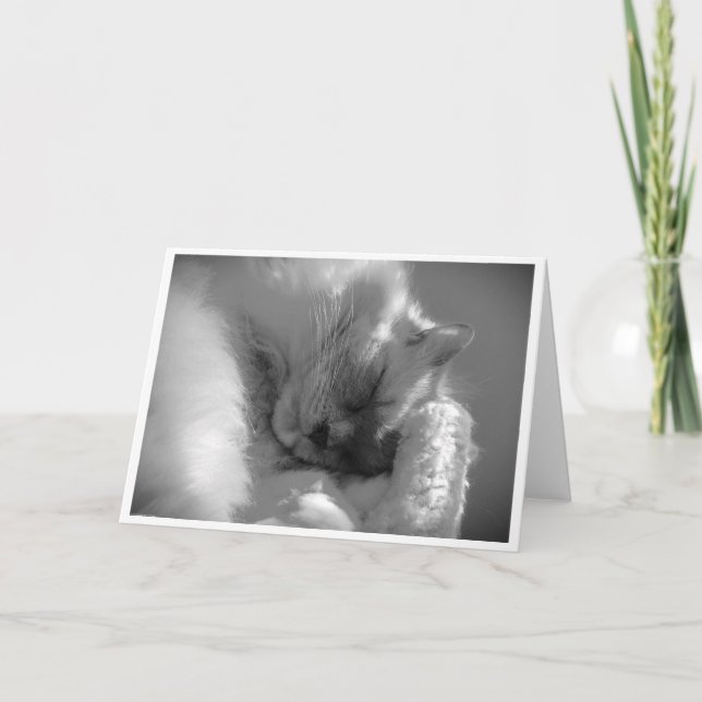 Días lentos, tarjeta (Anverso)