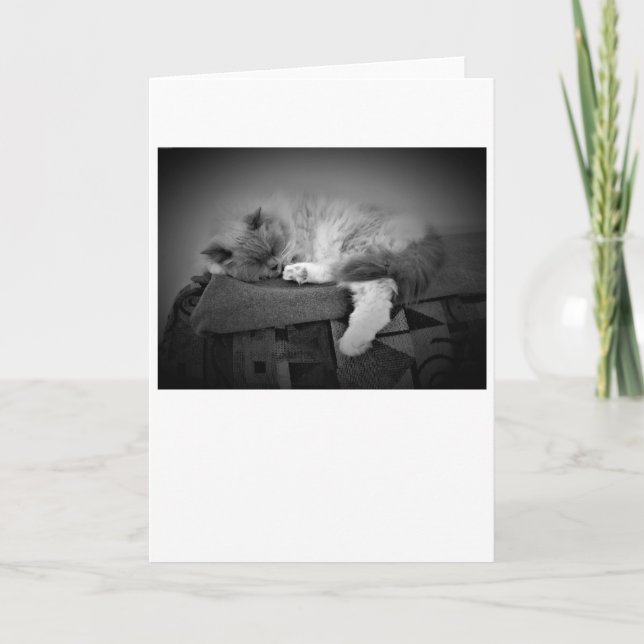 Días lentos, tarjeta (Anverso)