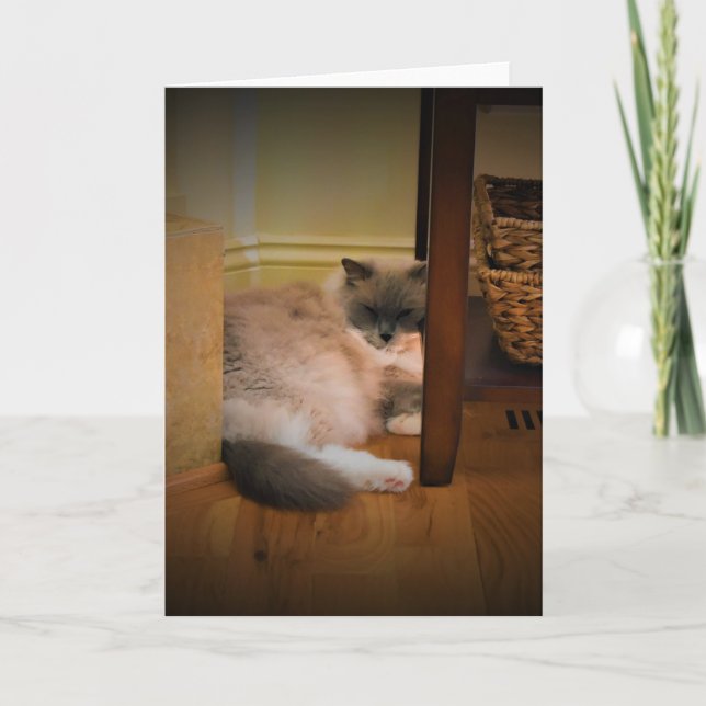 Días lentos, tarjeta (Anverso)