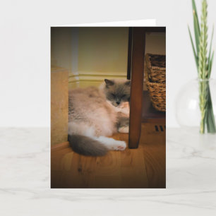 Días lentos, tarjeta