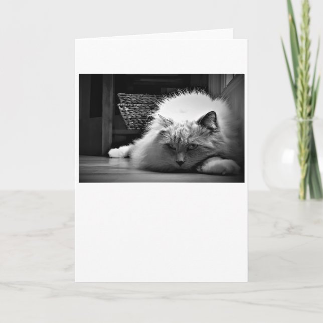 Días lentos, tarjeta (Anverso)