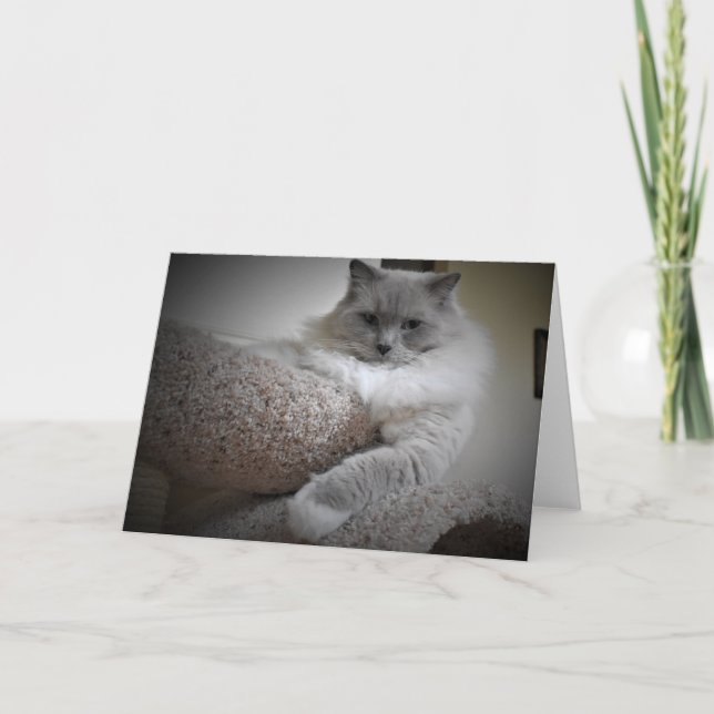 Días lentos, tarjeta (Anverso)