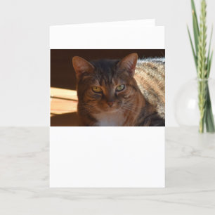 Días lentos, tarjeta