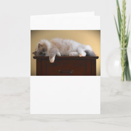 Días lentos, tarjeta