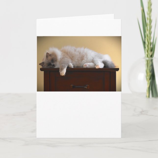 Días lentos, tarjeta (Anverso)