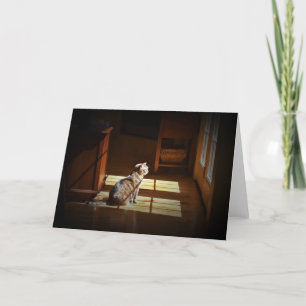 Días lentos, tarjeta