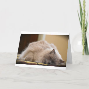 Días lentos, tarjeta