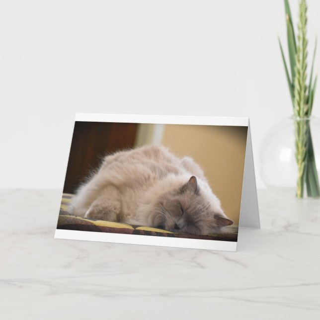 Días lentos, tarjeta (Anverso)