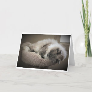 Días lentos, tarjeta