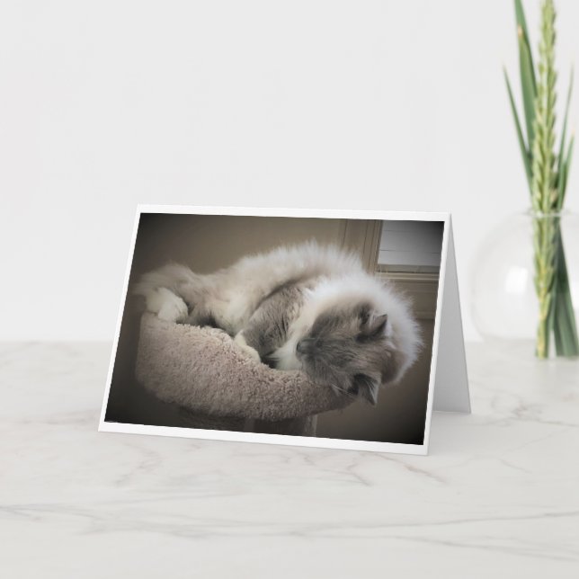 Días lentos, tarjeta (Anverso)