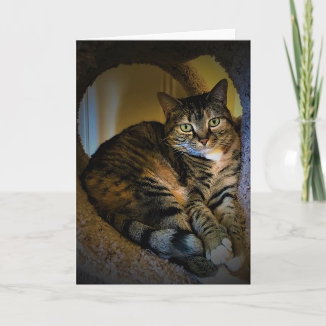 Días lentos, tarjeta (Anverso)