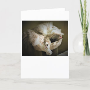 Días lentos, tarjeta