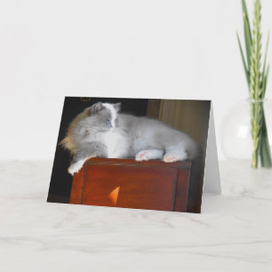 Días lentos, tarjeta