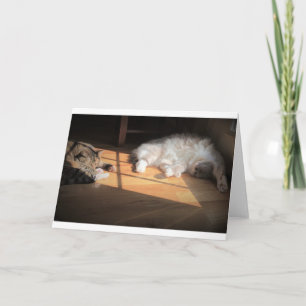 Días lentos, tarjeta