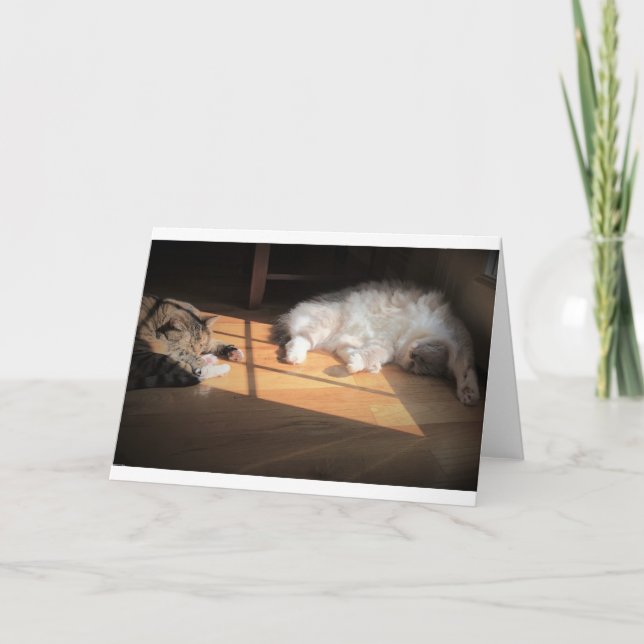 Días lentos, tarjeta (Anverso)