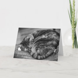 Días lentos, tarjeta