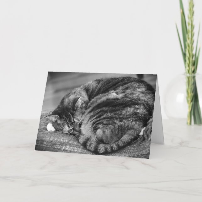 Días lentos, tarjeta (Anverso)