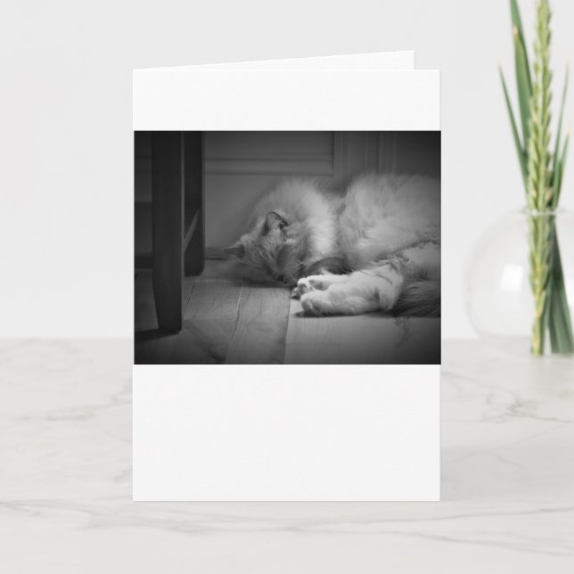 Días lentos, tarjeta (Anverso)