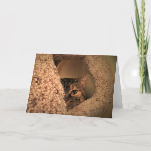 Días lentos, tarjeta