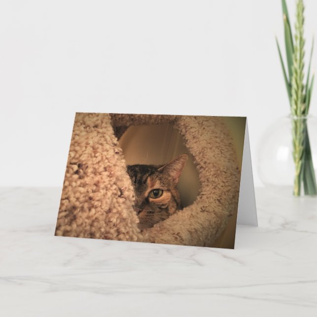 Días lentos, tarjeta (Anverso)