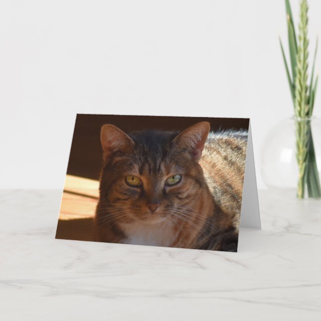 Días lentos, tarjeta (Anverso)