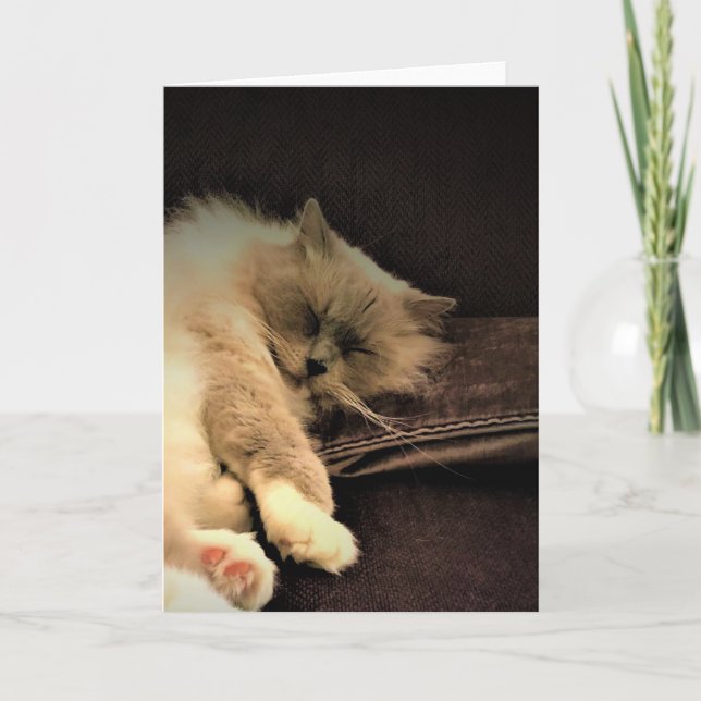 Días lentos, tarjeta (Anverso)