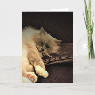 Días lentos, tarjeta