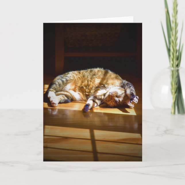 Días lentos, tarjeta (Anverso)