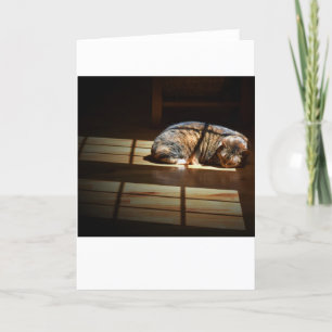 Días lentos, tarjeta