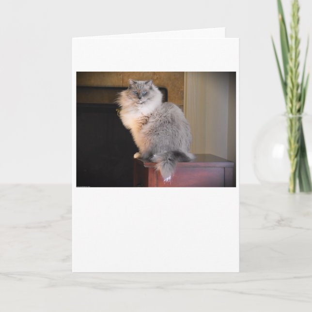 Días lentos, tarjeta (Anverso)