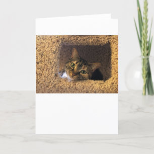 Días lentos, tarjeta