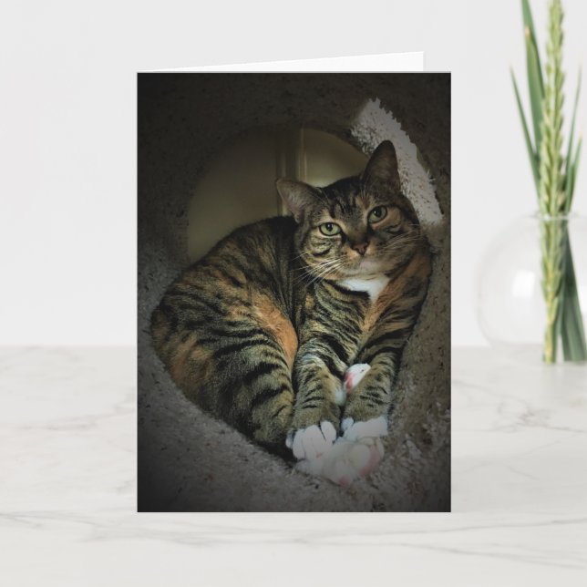 Días lentos, tarjeta (Anverso)