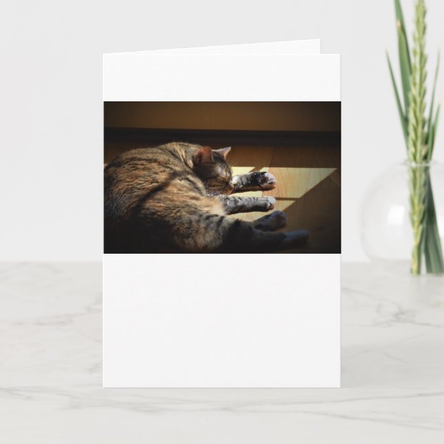 Días lentos, tarjeta (Anverso)