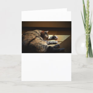 Días lentos, tarjeta