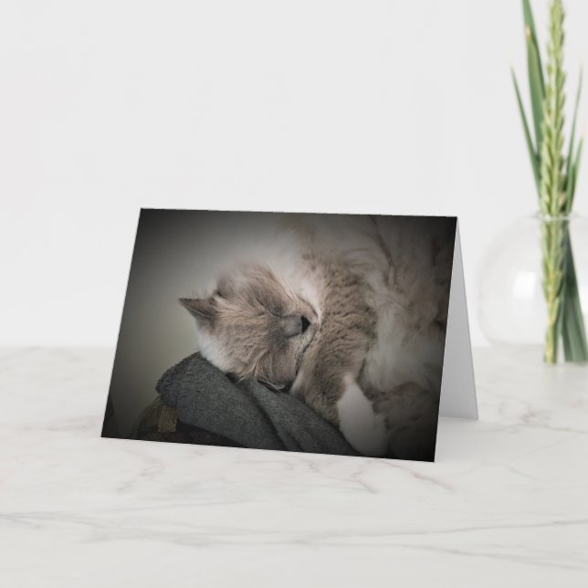 Días lentos, tarjeta (Anverso)