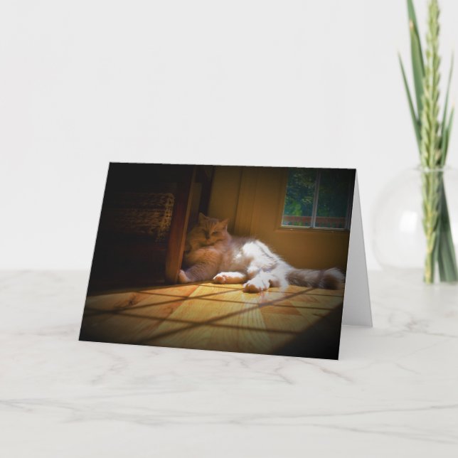 Días lentos, tarjeta (Anverso)