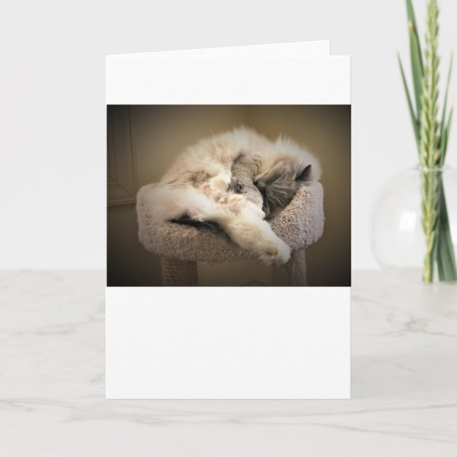 Días lentos, tarjeta (Anverso)