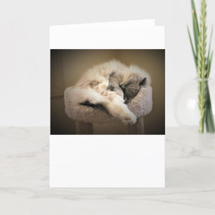 Días lentos, tarjeta