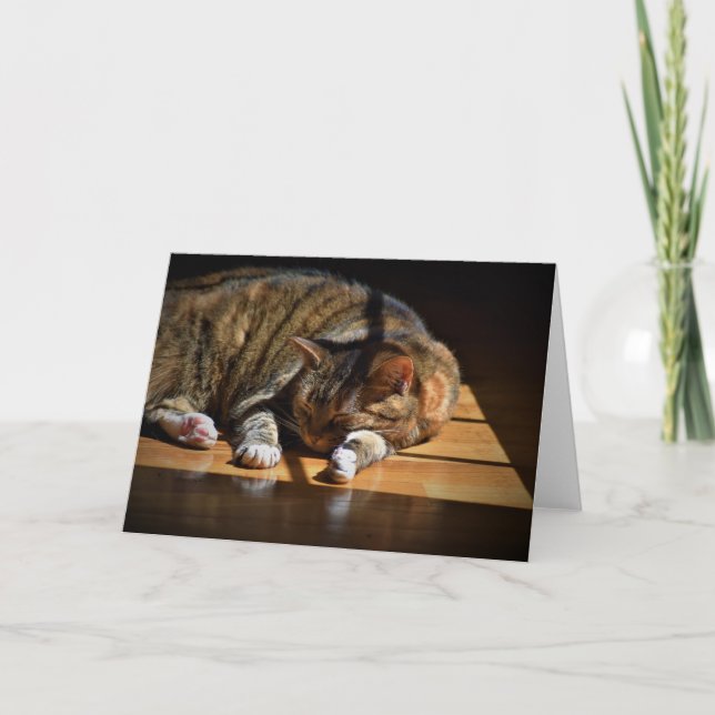 Días lentos, tarjeta (Anverso)