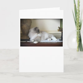 Días lentos, tarjeta