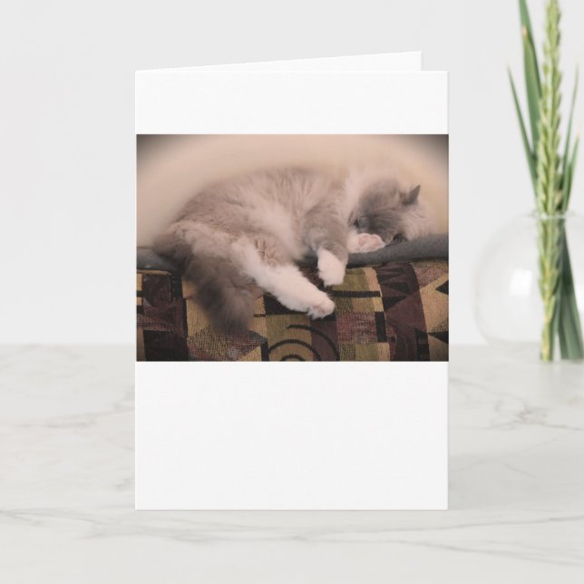 Días lentos, tarjeta (Anverso)